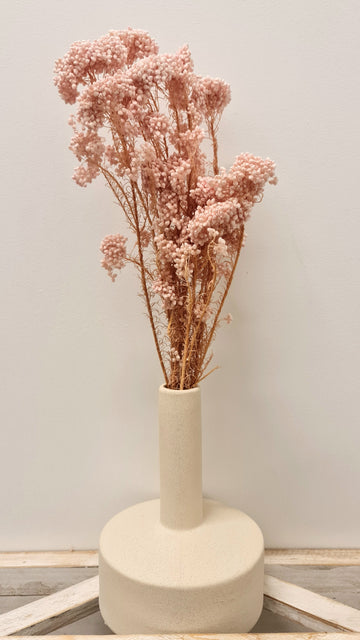 Rice Flower Bunch- Light Pink