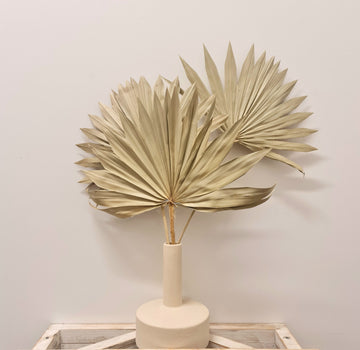 Sun Palms- 3x