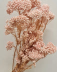 Rice Flower Bunch- Light Pink
